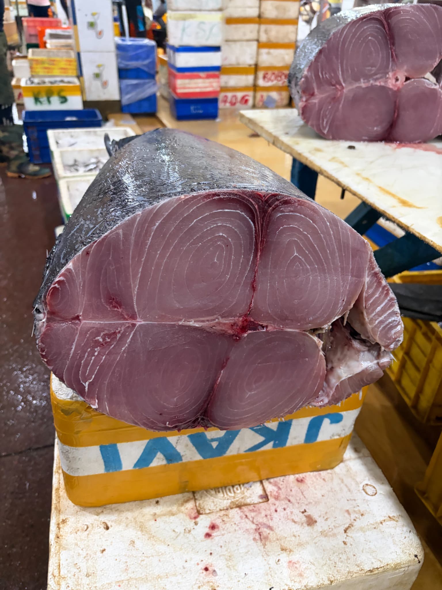 Cut tuna section
